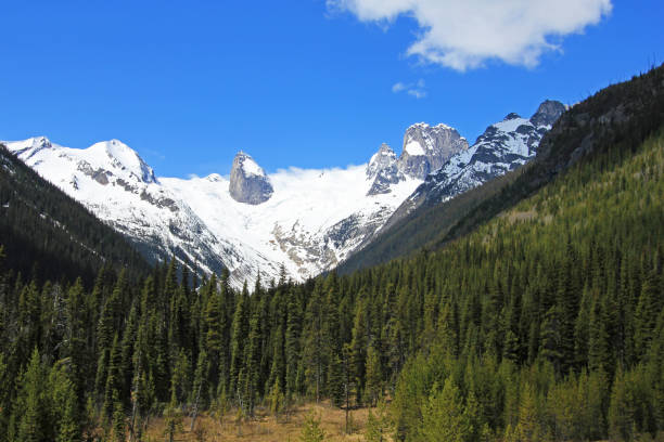 istock Bugaboo Spires in Bugaboo Provincial Park, British Columbia 946566516