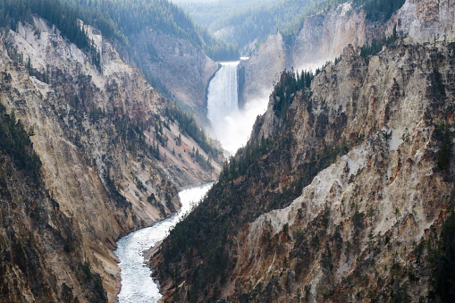 Lower Falls, Grand Canyon of Yellowstone National Park Waterfall
