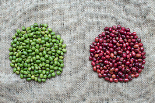 Red coffee Berries