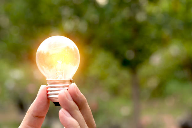 istock Hand holding light bulbs with glowing on ground. Idea, creativity and saving energy with light bulbs concept. 946576284