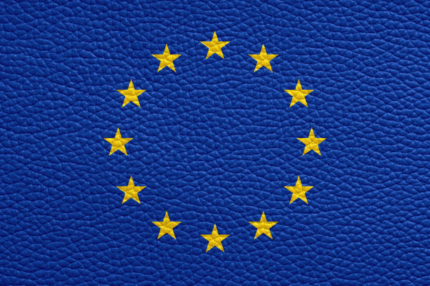 europe union flag painted on leather texture european union flag painted on leather texture schengen agreement stock pictures, royalty-free photos & images