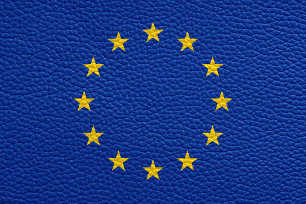 bandeira da união europa pintado na textura de couro - european union flag european community photography textured effect - fotografias e filmes do acervo