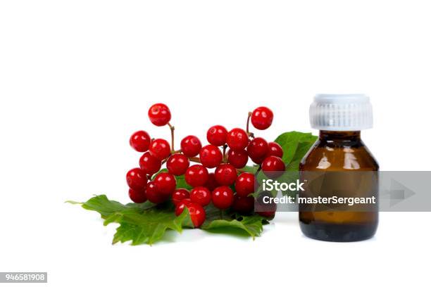 Viburnum Berries Elixir In Small Glass Bottle Isolated On White Background Stock Photo - Download Image Now