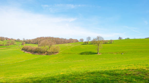 istock Panorama of a green meadow on a hill in sunlight in spring 946582212