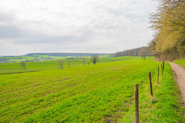 istock Panorama of a green meadow on a hill in sunlight in spring 946582368