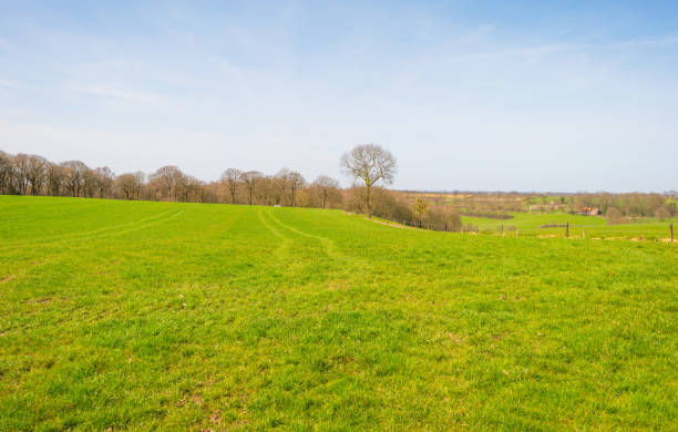 istock Panorama of a green meadow on a hill in sunlight in spring 946582410