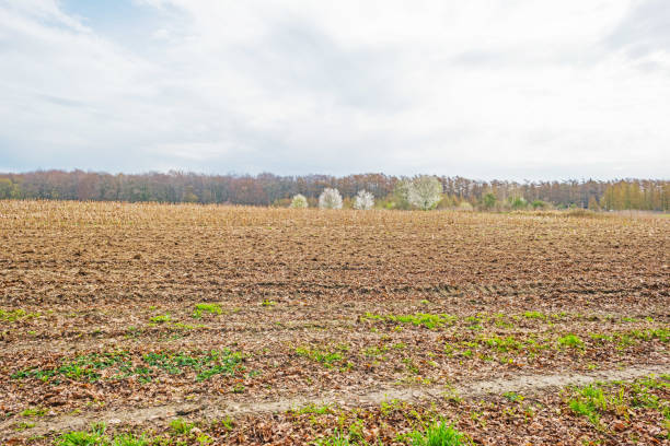 istock Panorama of a field on a hill in sunlight in spring 946583346
