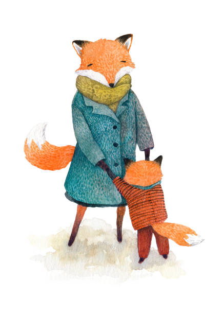 illustrations, cliparts, dessins animés et icônes de illustration d’un renard-mère et son enfant, jouant tohether peint à la main. aquarelle, isolé sur fond blanc. - young animal characters clothing coat