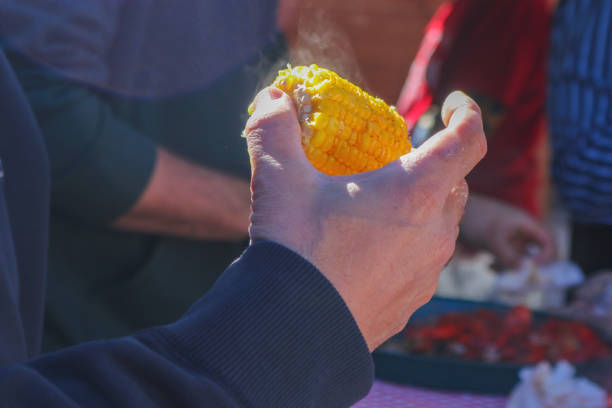 istock Hand holding steaming piece of corn on the cob at crawfish boil - selective focus 946588980