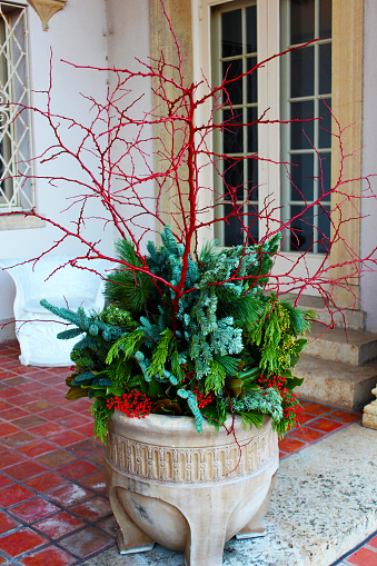 Clay pot of greenery on terrace with red berries and red branches - Christmas decor