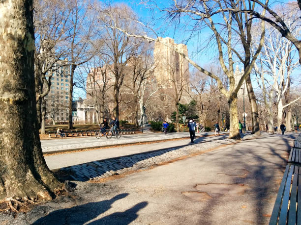 jesienna scena w central park w centrum manhattanu, nowy jork - manhattan new york city urban scene midtown manhattan zdjęcia i obrazy z banku zdjęć
