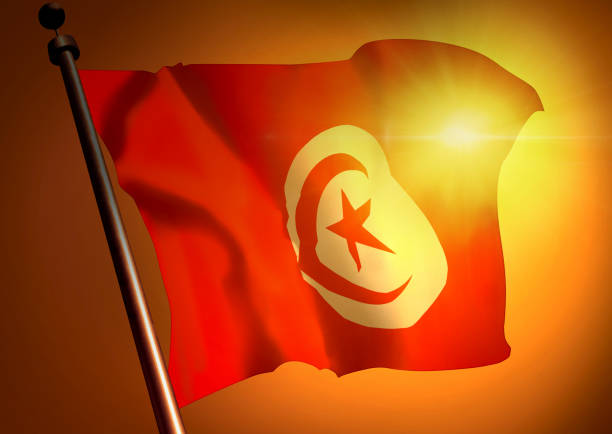 istock winner waving Tunisia flag against the sunset 946593764