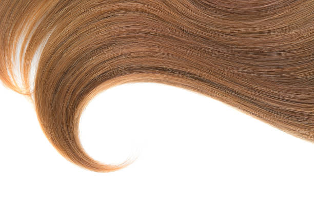 Curl of natural hair on a white background