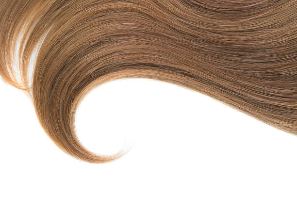istock Curl of natural hair on a white background 946597296