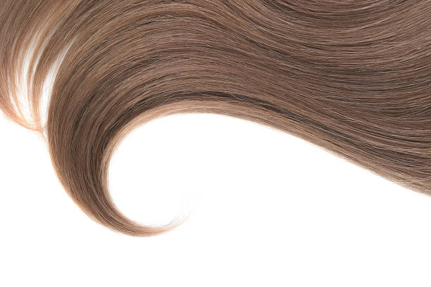 istock Curl of natural hair on a white background 946597306