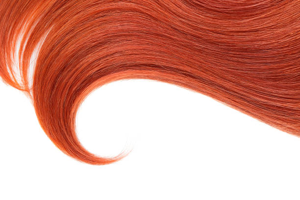 istock Red natural hair on white background 946597332
