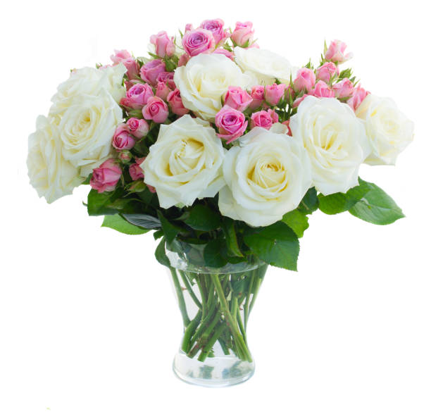 istock Pink and white blooming roses 946604136