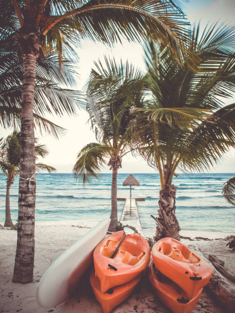 istock Palapa, kayaks and paddleboard on tropical beach at sunrise 946607384