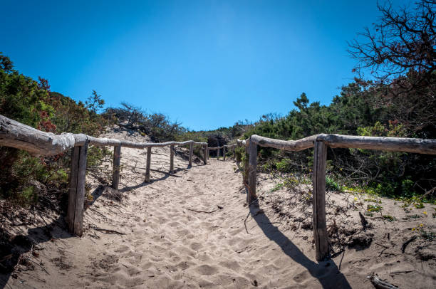 istock path towards the sea through the beach 946610342