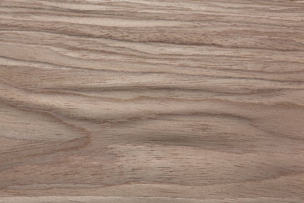 Awesome veneer texture in gentle light colours Awesome veneer texture in gentle light colours. High resolution photo. walnut wood photos stock pictures, royalty-free photos & images