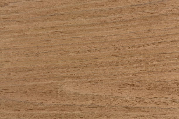 Oak texture on macro, natural background Oak texture on macro, natural background. Extremely high resolution photo. oak wood grain stock pictures, royalty-free photos & images