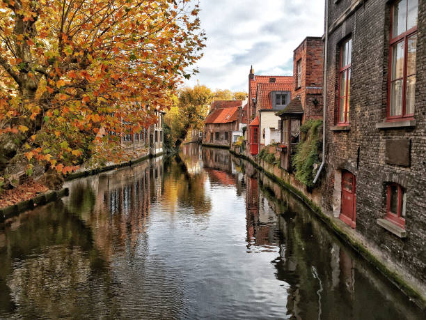 canale di bruges circondato da case storiche in belgio - bruges cityscape europe autumn foto e immagini stock