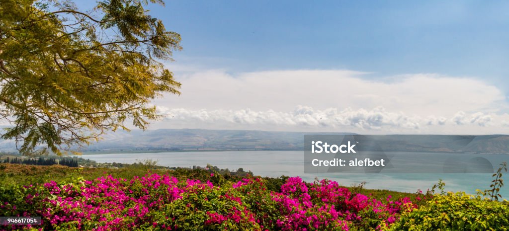 Panoramic top view of the sea of Galilee from the Mount of Beatitudes, Israel Panoramic view of the sea of Galilee the kinneret lake from the Mount of Beatitudes, Israel Lake Tiberias Stock Photo