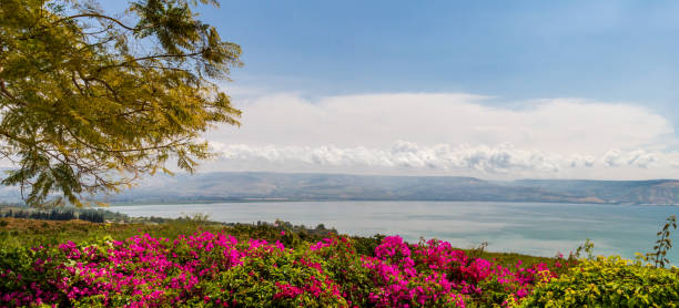 Panoramic top view of the sea of Galilee from the Mount of Beatitudes, Israel Panoramic view of the sea of Galilee the kinneret lake from the Mount of Beatitudes, Israel sea of galilee stock pictures, royalty-free photos & images