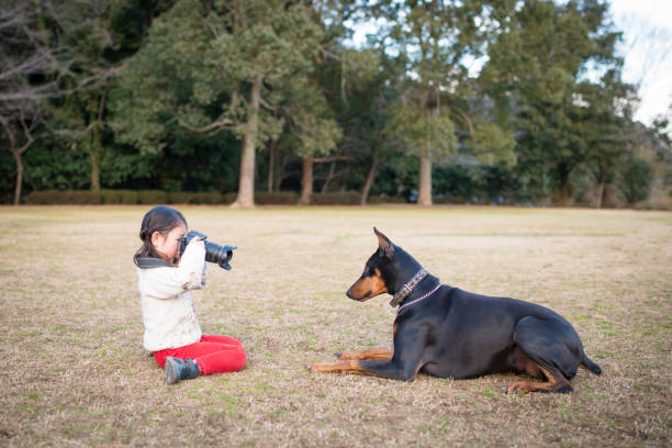 istock Little girl to take a picture 946636672