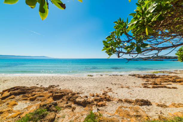 istock Blue sea in Le Bombarde beach in Alghero 946637614