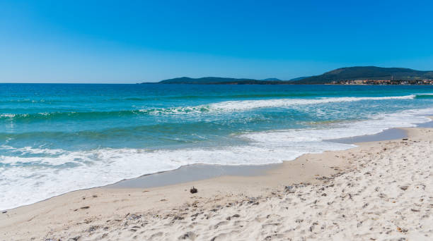 istock Blue sea in Maria Pia beach in Alghero 946637638