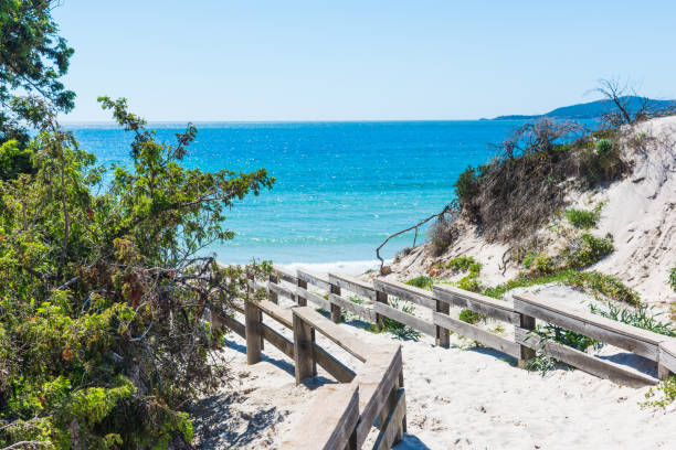 istock Boardwalk covered by sand in Sardinia 946637686