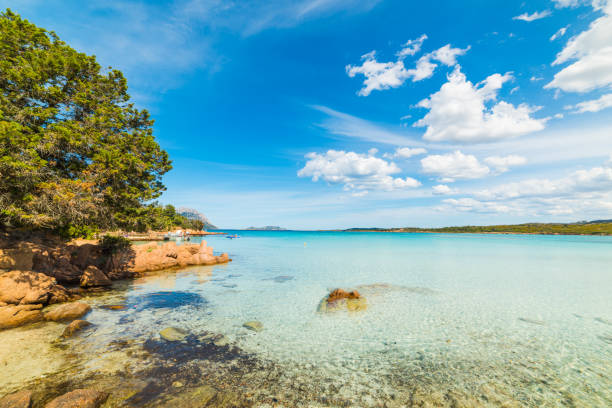 istock Clear water in Sardinia 946640186