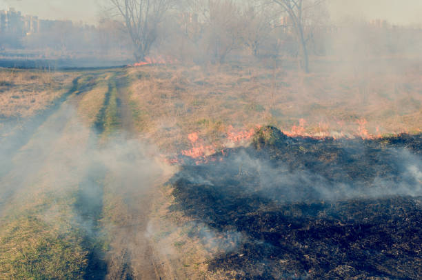 istock The fire of dry grass in the field 946640914