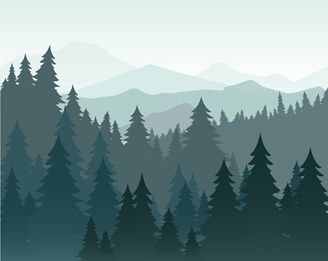 Vector illustration of pine forest and mountains vector background. Coniferous forest, fir silhouette and mountains in fog landscape