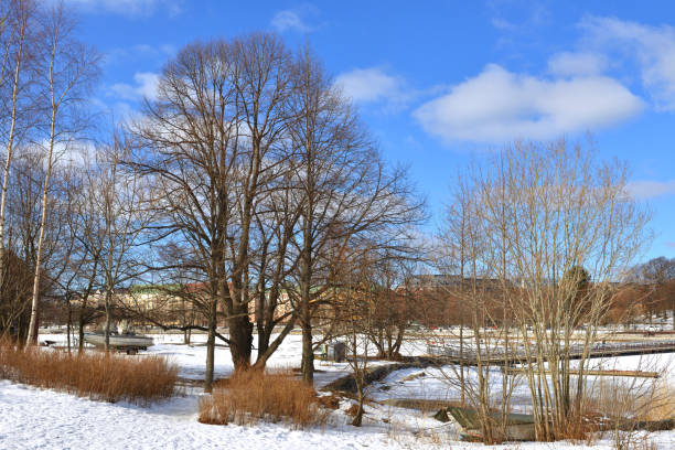istock Spring. Uunisaari Island, Helsinki, Finland 946651998