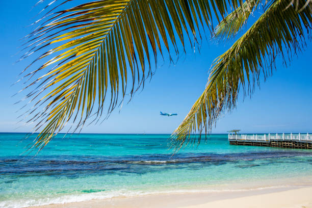 istock Beach in the Caribbean in Jamaica 946652418