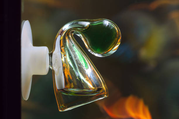 Spectrum of scented oil bottle with caps.