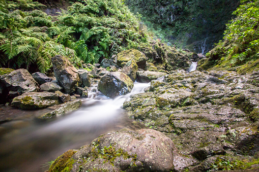 Cascada en Levada Caldeirao Verde, Madeira, Portugal photo