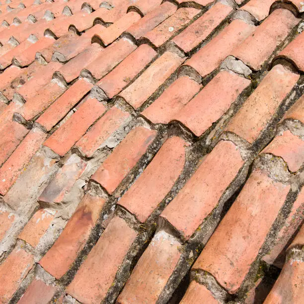 Spaniard Colonial Tiles Roof Texture