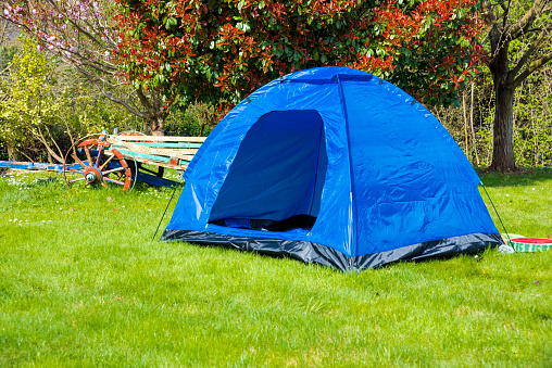 Tent in the forest during a spring camp
