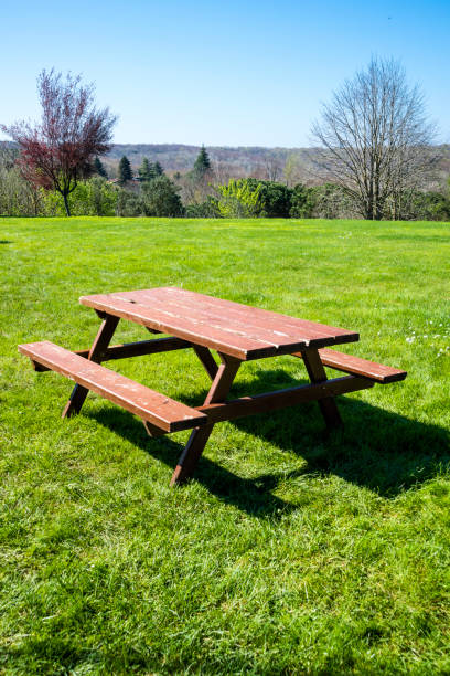 istock Wooden picnic table and bench in garden 946669652