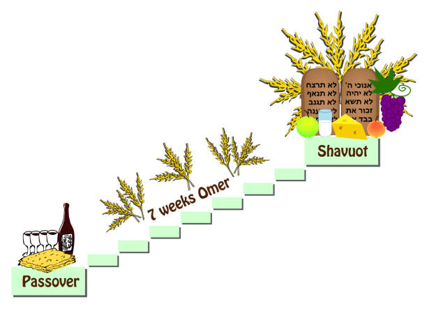 illustrations, cliparts, dessins animés et icônes de fête de chavouot. le compte de l’omer entre la pâque et la chavouot. vin, pain azyme, fruits, lait, fromage. rouleaux de la torah, comprimés de la bible, les dix commandements vector - unleavened bread