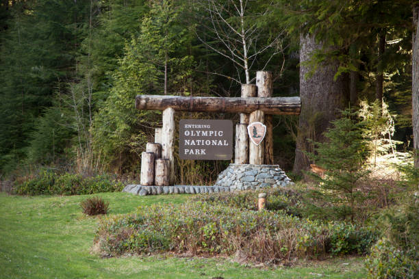 istock Entry signage at Olympic National Park 946696954