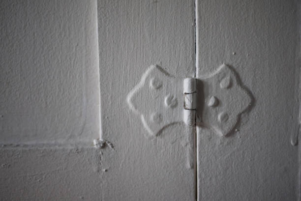 istock Hinge on Closet Door 946706460