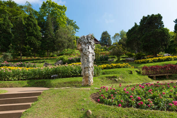 istock Flowers garden. 946706462