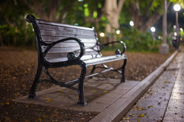 istock A vacant park bench in Hyde Park, Sydney Australia at night 946713820