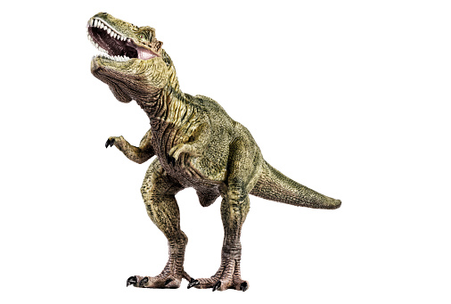 Agressive tyrannosaurus rex dinosaur plastic toy, isolated on white background.