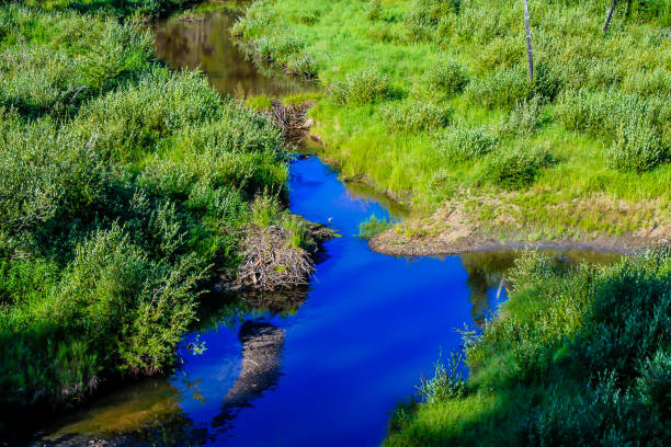 istock Sunny summery day, Waiprous Village, Alberta, Canada 946725410