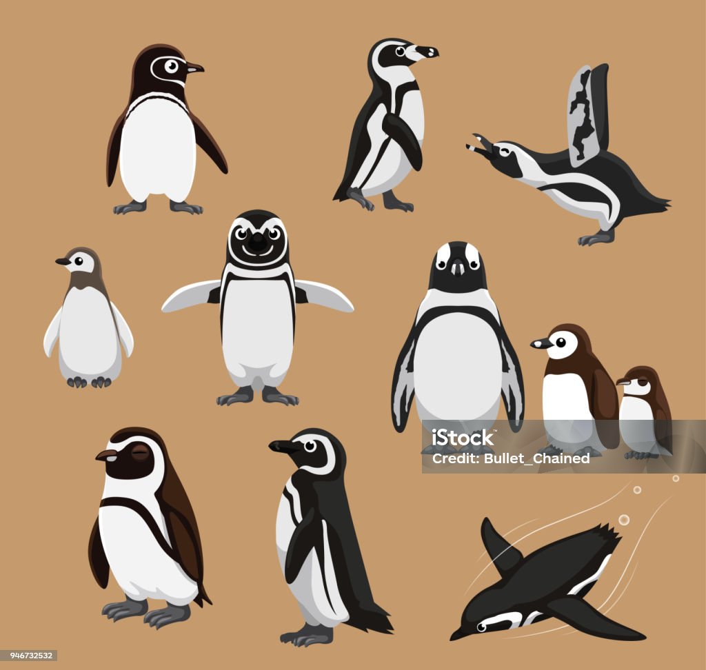 Dễ Thương Banded Châu Phi Chim Cánh Cụt Gia Đình Hoạt Hình Vector ...